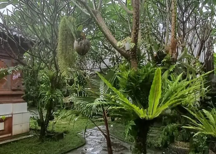 Serongga * Lebih